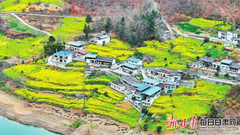 揭秘文縣，歷史背景、重大事件與時代地位全景展示