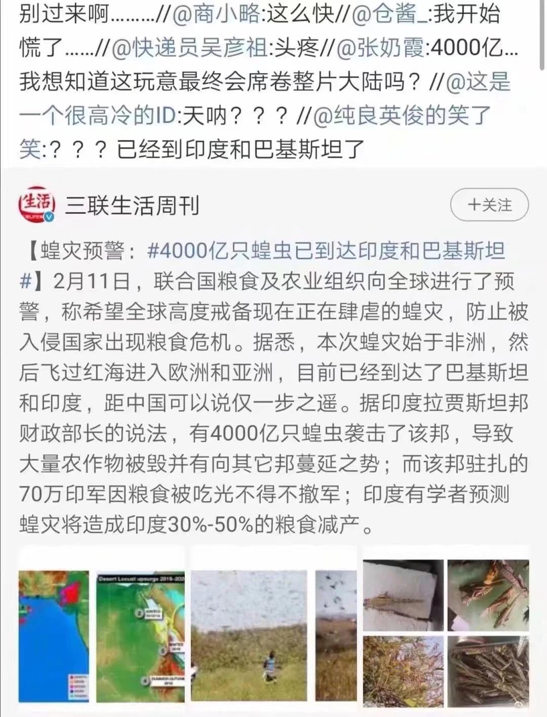 蝗蟲最新動(dòng)態(tài)，防治與監(jiān)測的全面指南