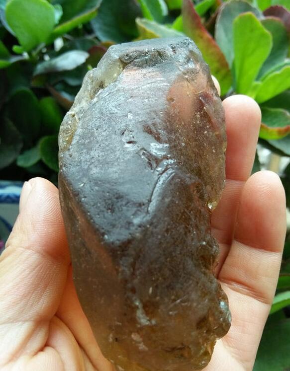 最新鑒定法，揭示友情的印記與家的溫馨