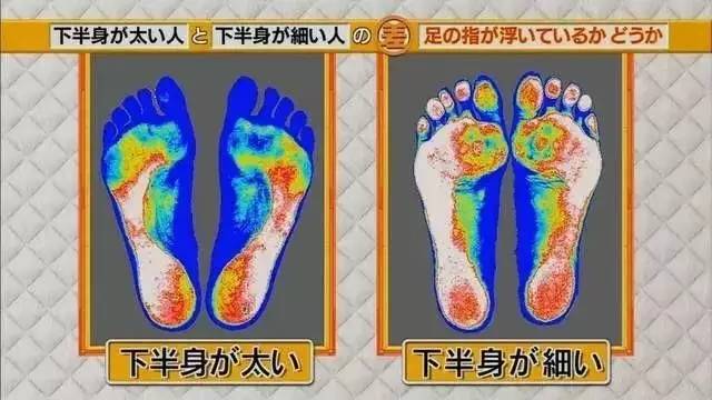 最新地趾論述，探索、爭議與觀點(diǎn)綜述