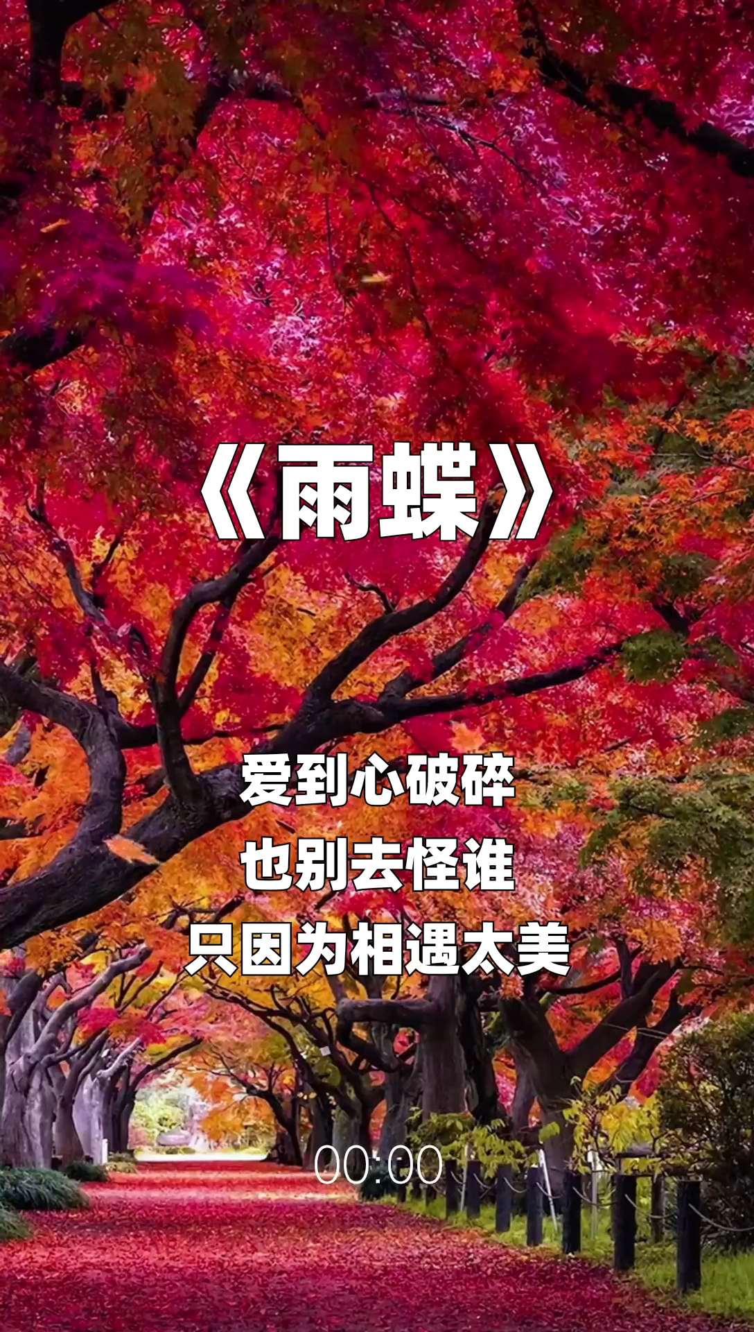雨蝶最新步驟指南，如何完成任務(wù)或?qū)W習(xí)技能？