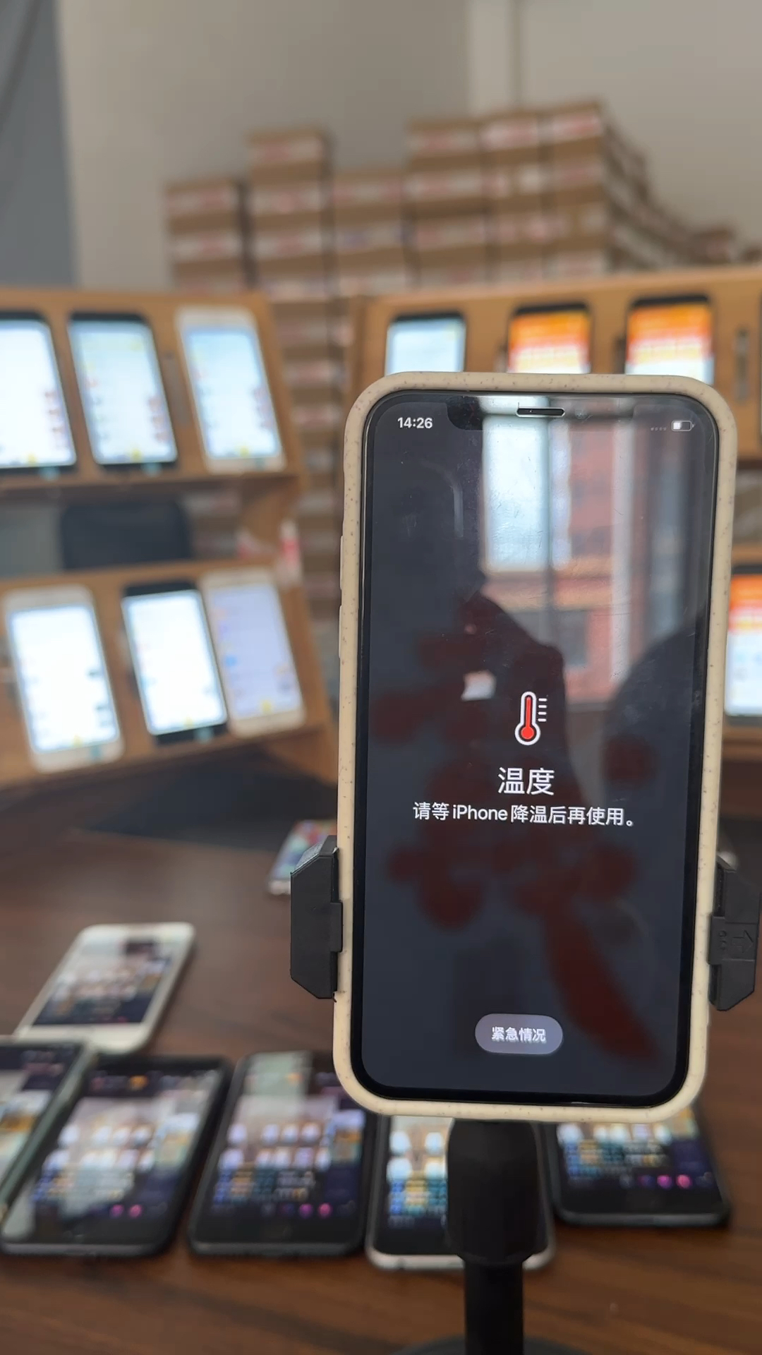 蘋果最新直播，科技與文化的完美融合盛宴