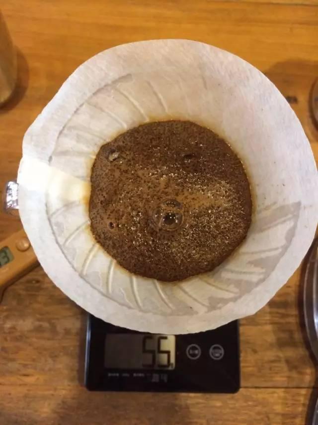 最新萃取法詳解，步驟指南與操作技巧