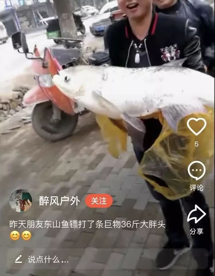 射魚(yú)神器進(jìn)化升級(jí)，學(xué)習(xí)變革與自信成就之源