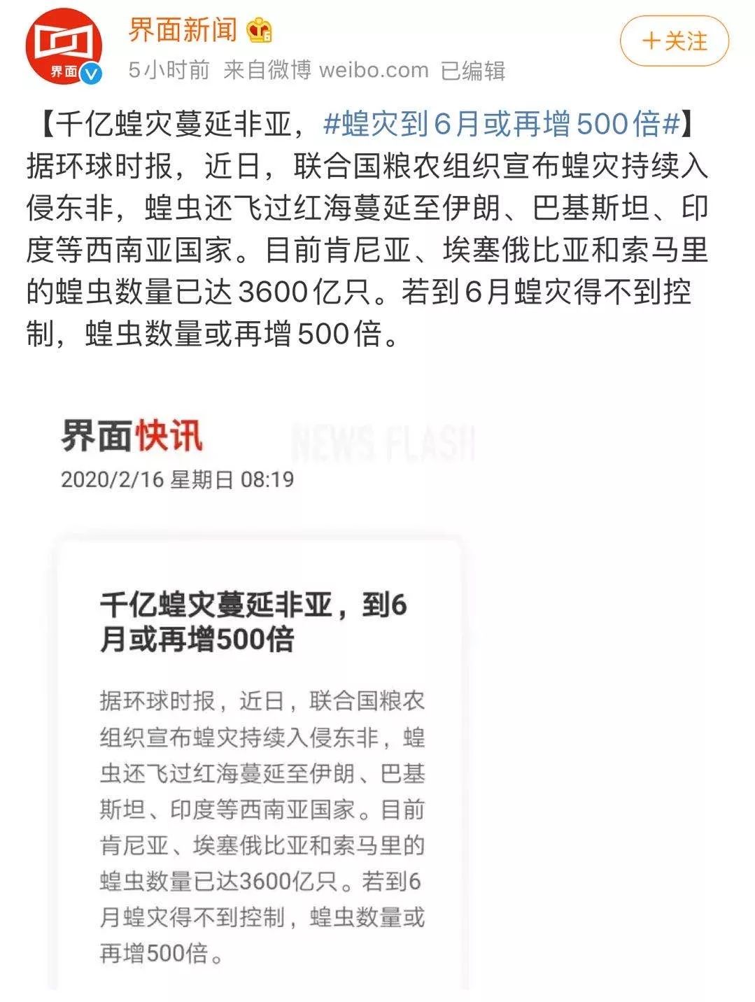 世界蝗災(zāi)最新動(dòng)態(tài)，探索自然美景的輕松之旅