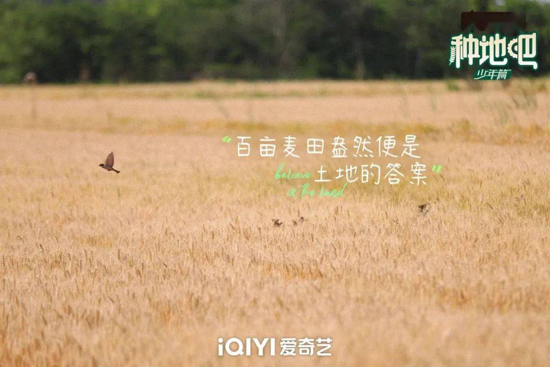 種地吧最新語錄，探索未來農(nóng)業(yè)的高科技魅力