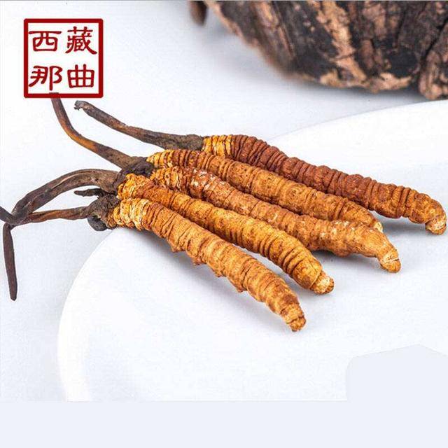 揭秘2025年蟲草最新價格，探尋小巷中的秘密行情！