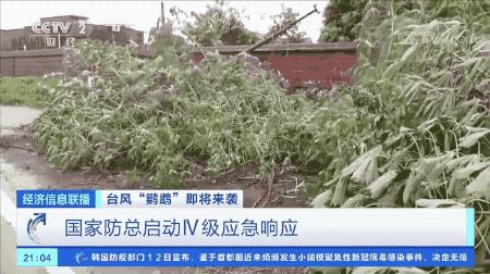 超強(qiáng)臺風(fēng)鸚鵡來襲，最新路徑動態(tài)全解析???