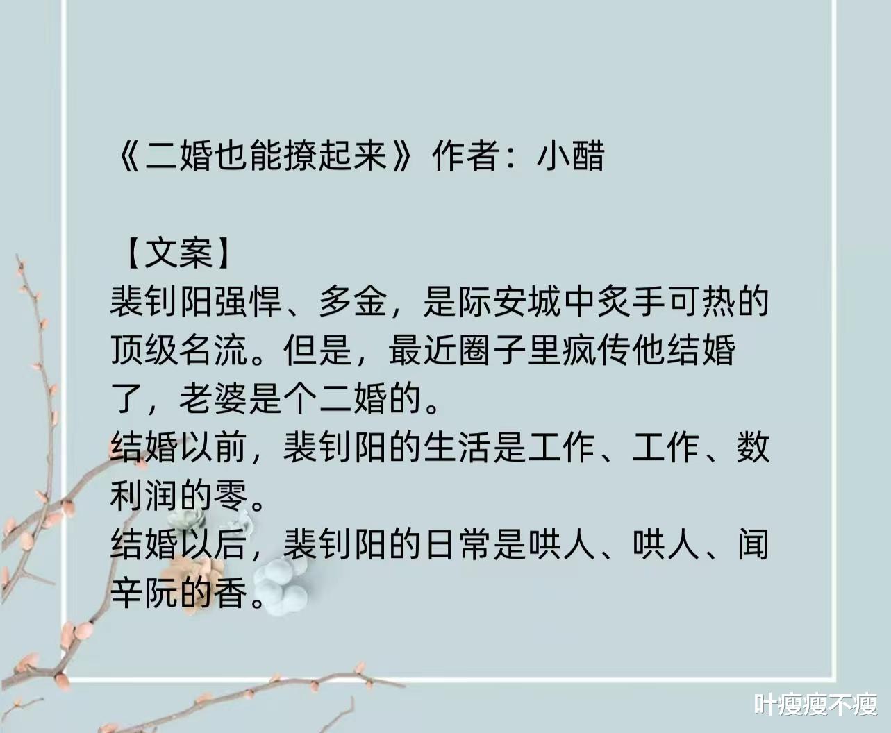最新二婚小說，小巷深處的浪漫故事